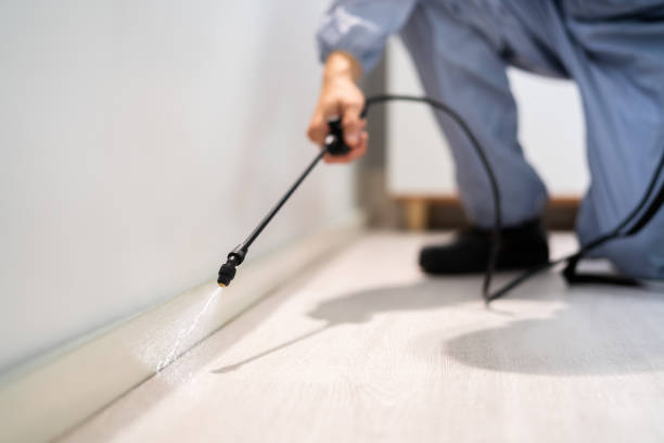 Professional exterminator conducting IPM assessment in Blanchard