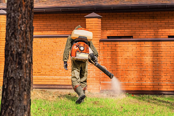 Bed Bug Clearance Verification and Documentation in Blanchard